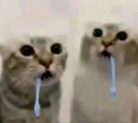 Low resolution image of two drooling cats